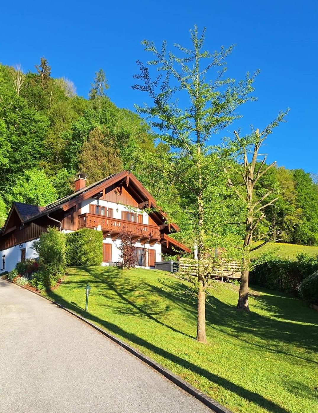 Luxus Alpenparadies Nahe Salzburg Sauna & Whirlpool Adnet 外观 照片